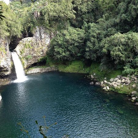Saint-Benoît Le Beau Vallon 1- Jacuzzi Privatif Et Piscine Chauffee Partagee מראה חיצוני תמונה